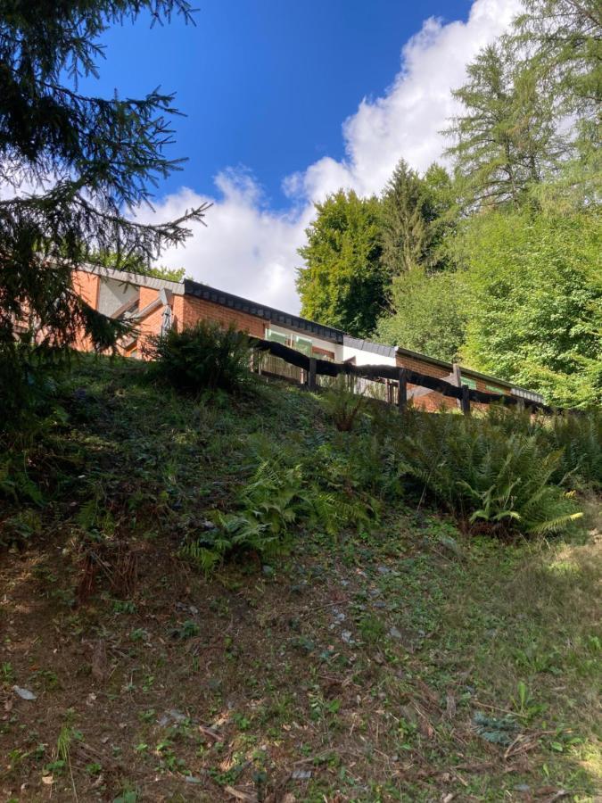 Le Cottage De Christine Vresse-sur-Semois ภายนอก รูปภาพ