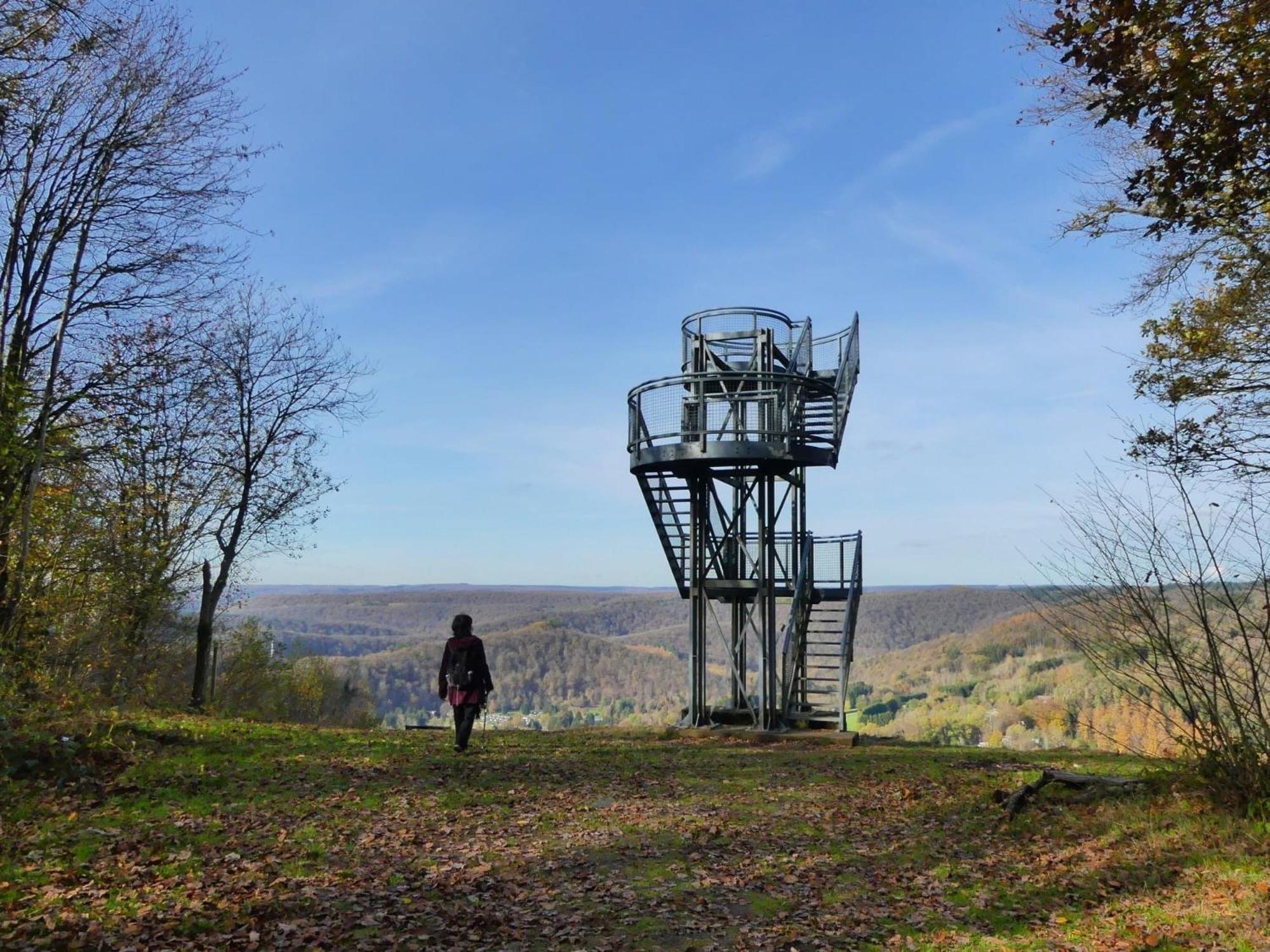 Le Cottage De Christine Vresse-sur-Semois ภายนอก รูปภาพ